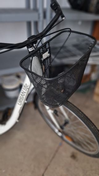 Bicicleta tipo holandesa