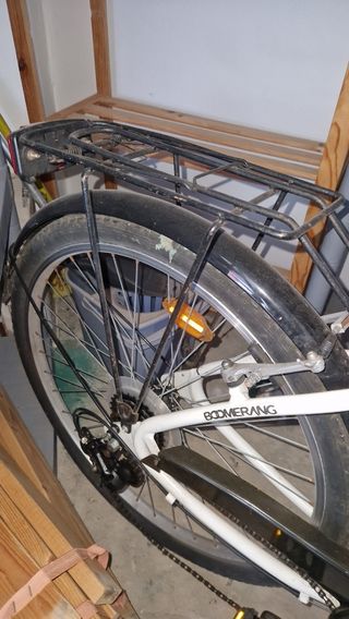 Bicicleta tipo holandesa