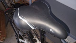 Bicicleta tipo holandesa