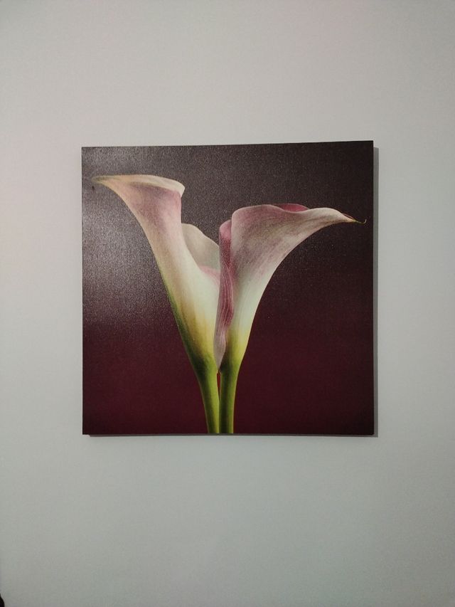 quadro decorativo con calla