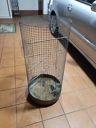 Se vende jaula