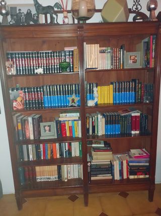 Estantería de madera maciza.