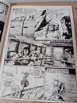 La espada salvaje de Conan