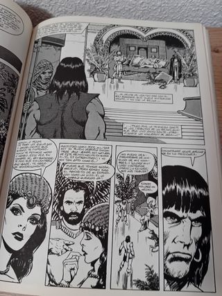 La espada salvaje de Conan