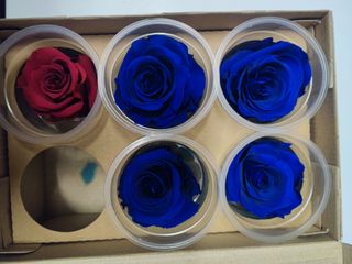 Rose Stabilizzate Eterna Vera
