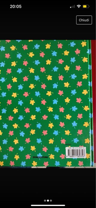 l arrampicata di pimpi