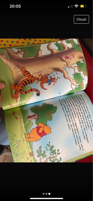 l arrampicata di pimpi