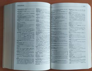 Diccionario español-francés Larousse