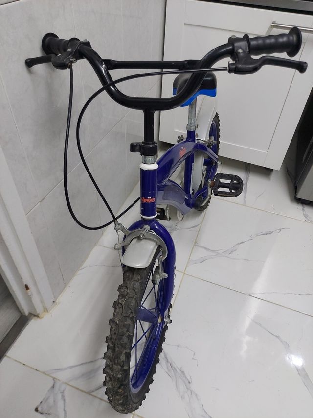 Bici bicicleta niño