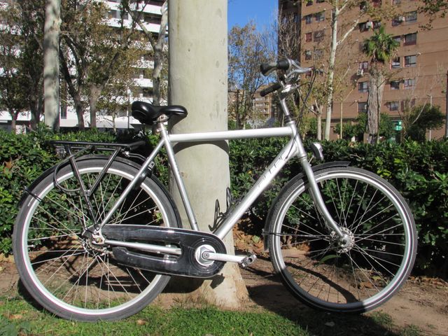 Bicicleta XL