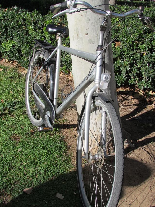 Bicicleta XL