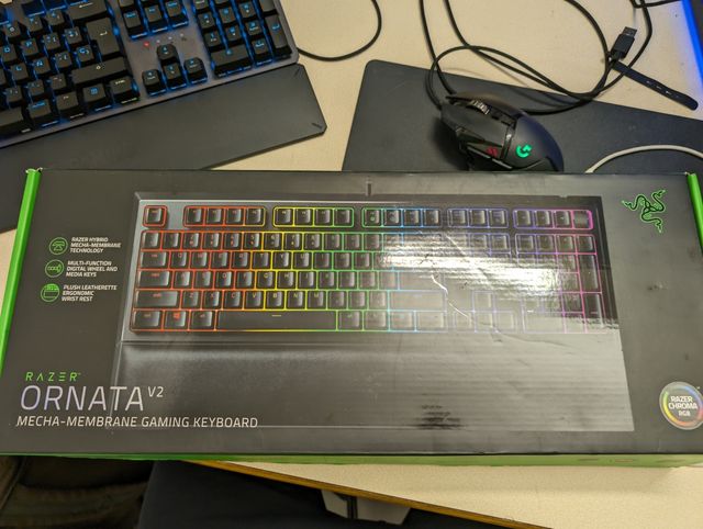 Teclado Razer ORNATA V2