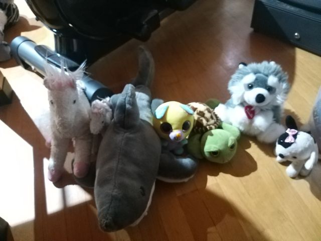 Peluches ty