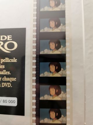 El Viaje de Chihiro DVD + Film EX