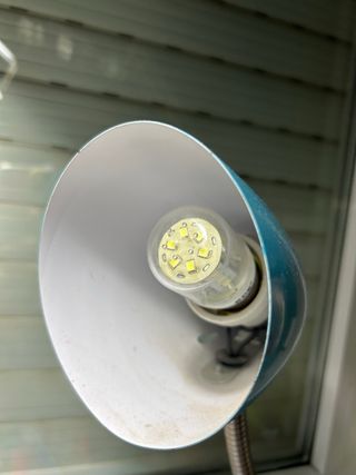 lampara escrito