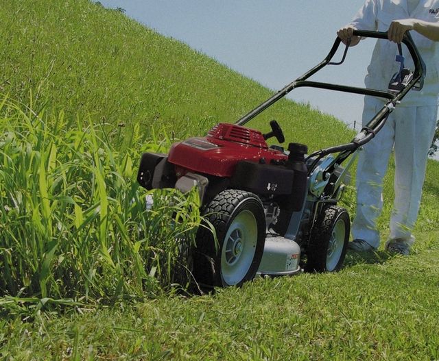 Limpieza de huerto y jardín