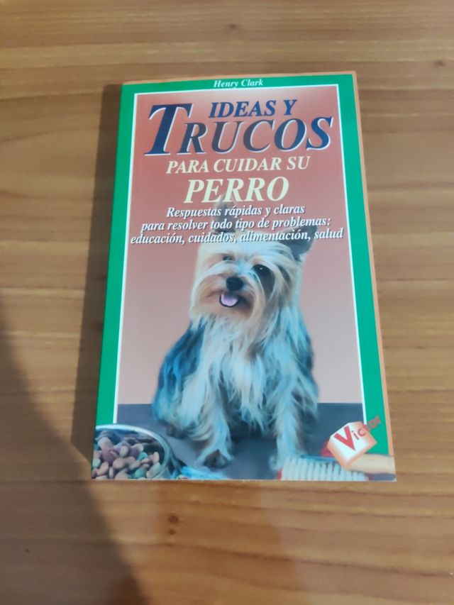 Ideas y trucos para cuidar de su perro