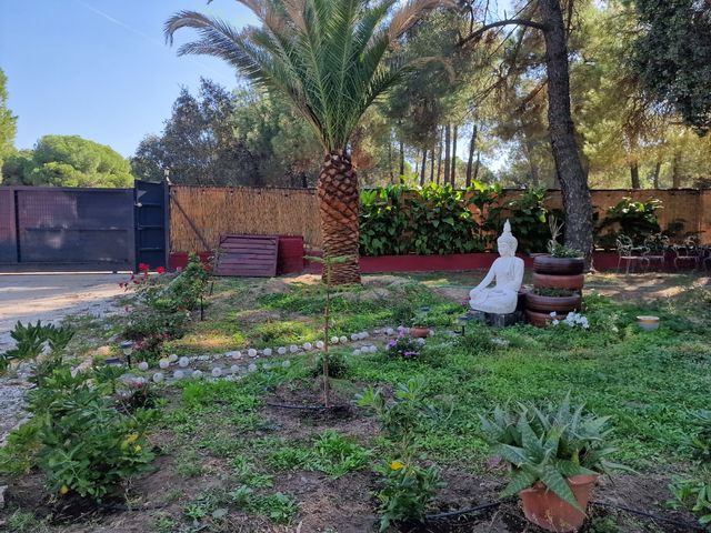 Finca  venta de finca  y alquiler La Adrada  Avila