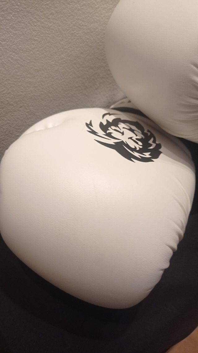 GUANTES DE BOXEO FIGHTR 12 oz