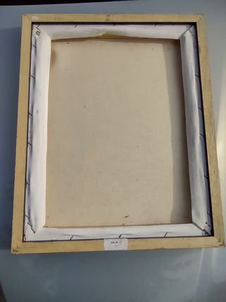 Interesante caricatura de Amichatis