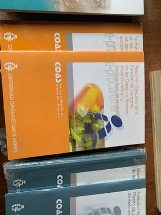 Estudios avanzados para comite COAS de CECA