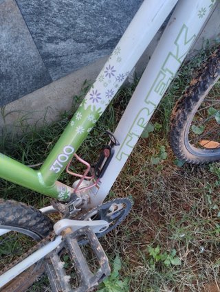 Bicicleta