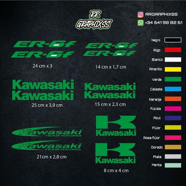 Kit Pegatinas Kawasaki Er-6f