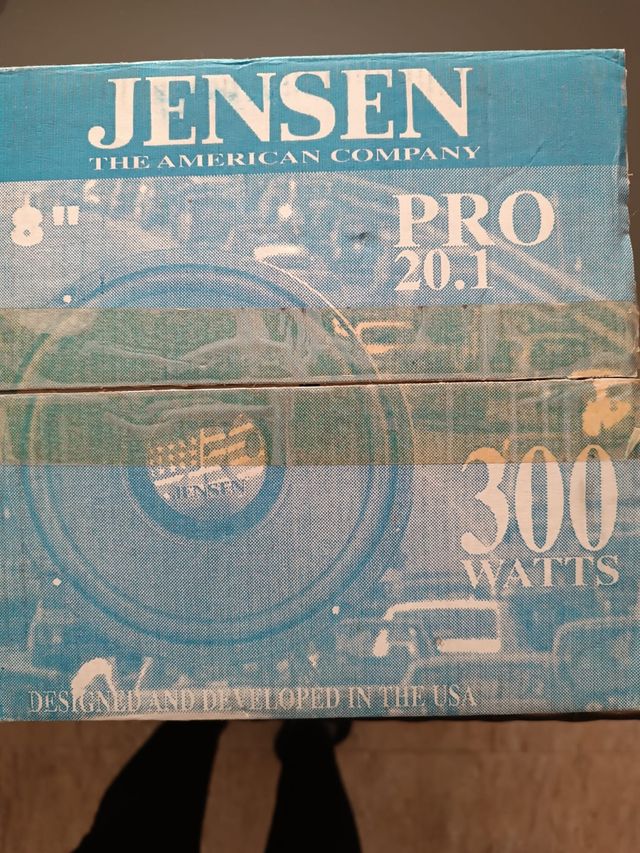 Subwoofer 300 watts JENSEN 20.1. A estrenar.