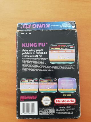 Kung Fu para Nintendo NES