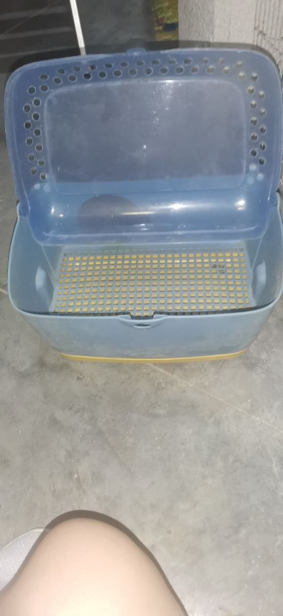 aseo hurones conejos