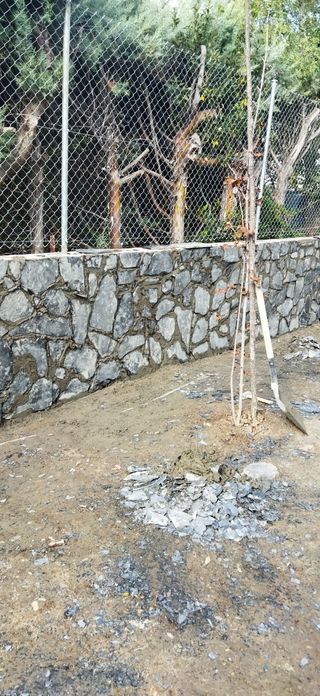PINTADOS TODOS TIPOS DE PISCINA 2. Días 