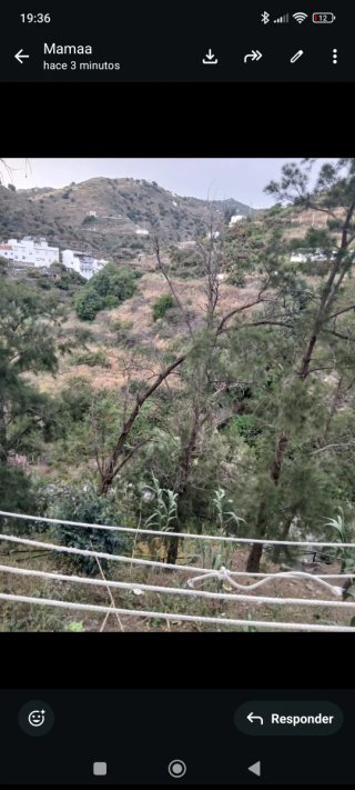Casa en alquiler