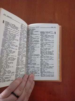 Diccionario català-castellano canigo