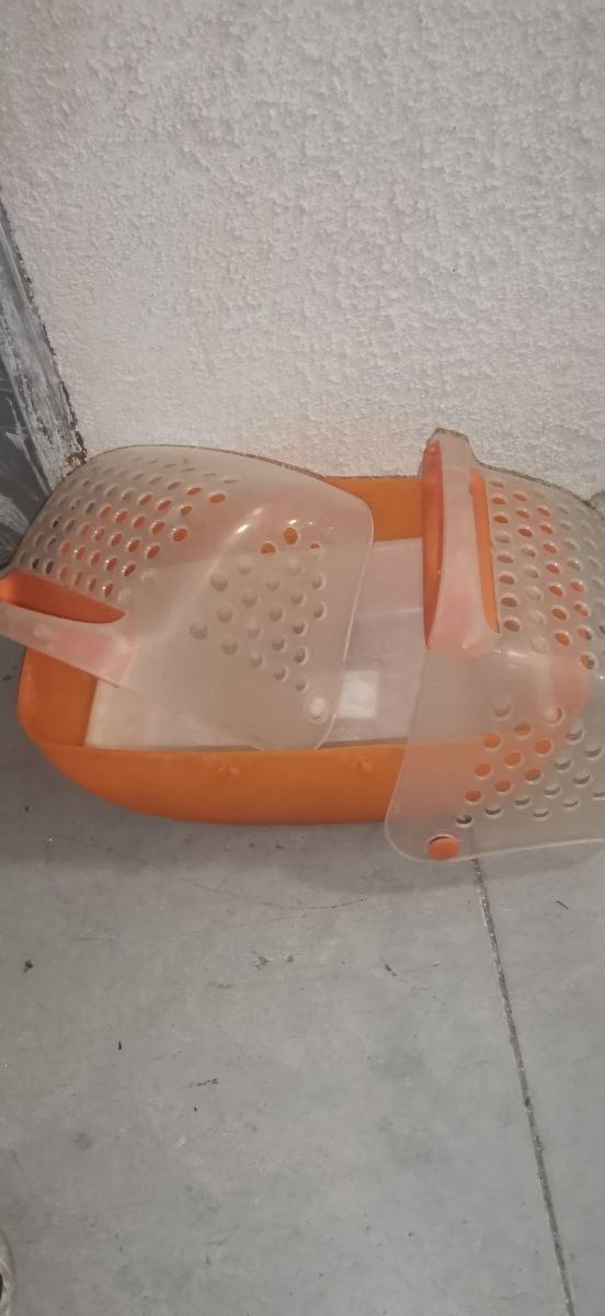 transportin animales pequeños