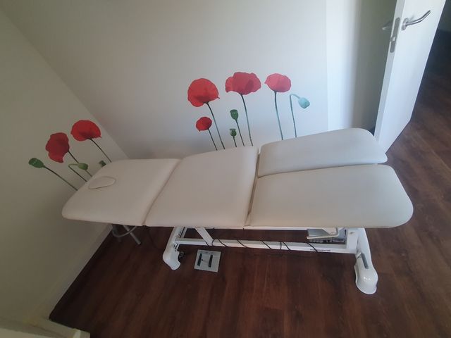 Camilla eléctrica ECOPOSTURAL