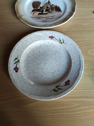 Platos decorativos