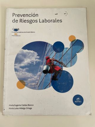 libro Prevencion de Riesgos Laborales 