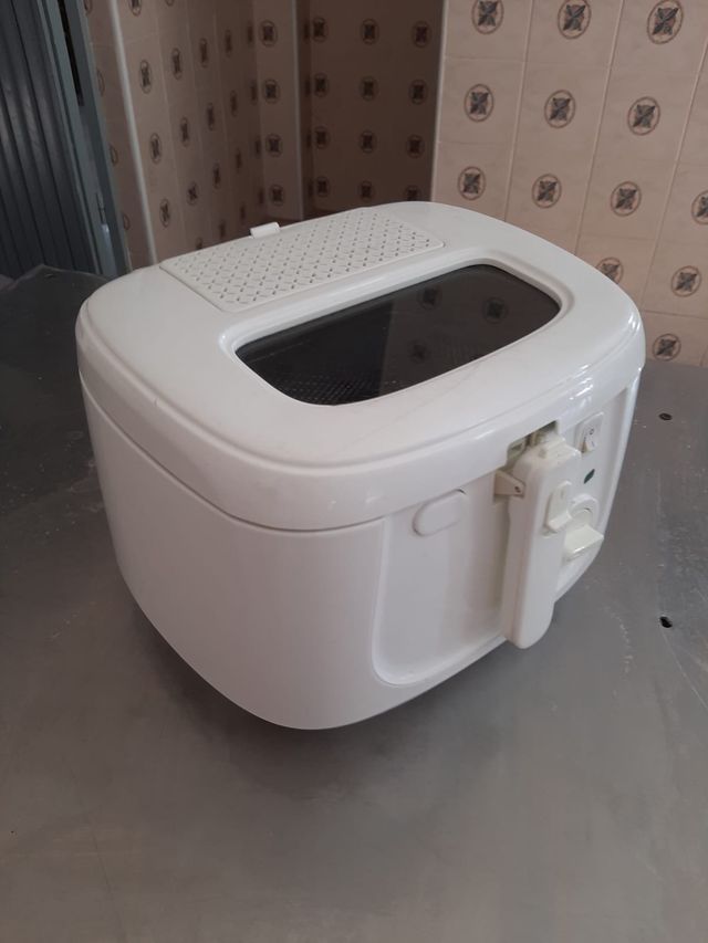 friggitrice elettrica monopetto