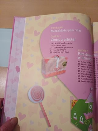 Libro manualidades