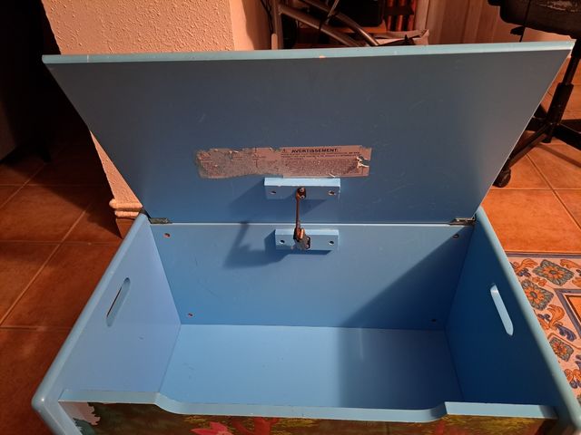 Baul infantil Winnie de Pooh