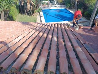 Cubiertas tejas TLF.651429938