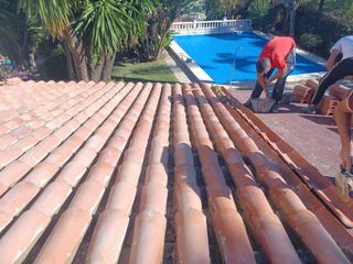 Cubiertas tejas TLF.651429938