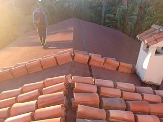 Cubiertas tejas TLF.651429938