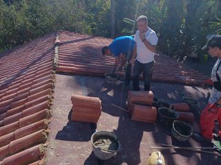 Cubiertas y tejas TLF.651429938