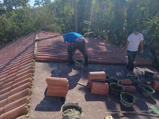 Cubiertas y tejas TLF.651429938