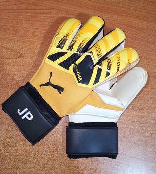 Guanti Portiere JORDAN PICKFORD Match Worn Gloves