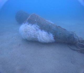 Inmersiones guiadas/bautizo con o sin torpedorpedo