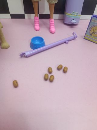 Barbie y su perrita tanner