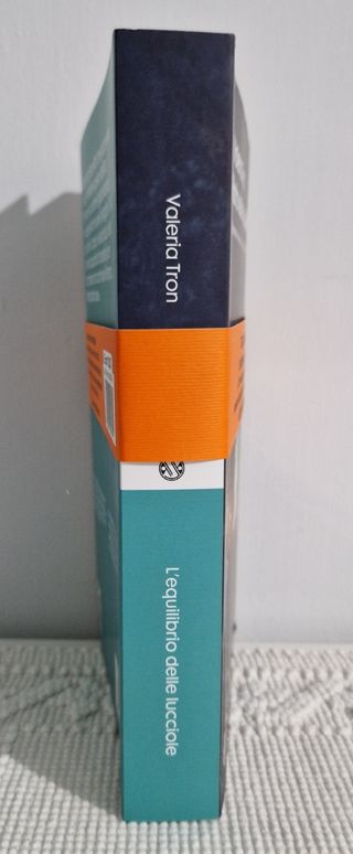 L'equilibrio delle lucciole