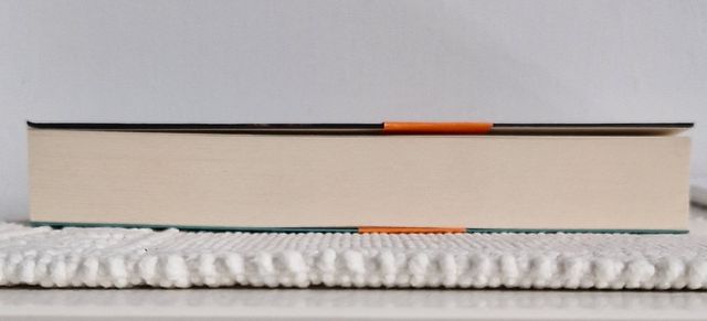 L'equilibrio delle lucciole